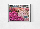 Paris Pink Peonies - Every Day Paris 