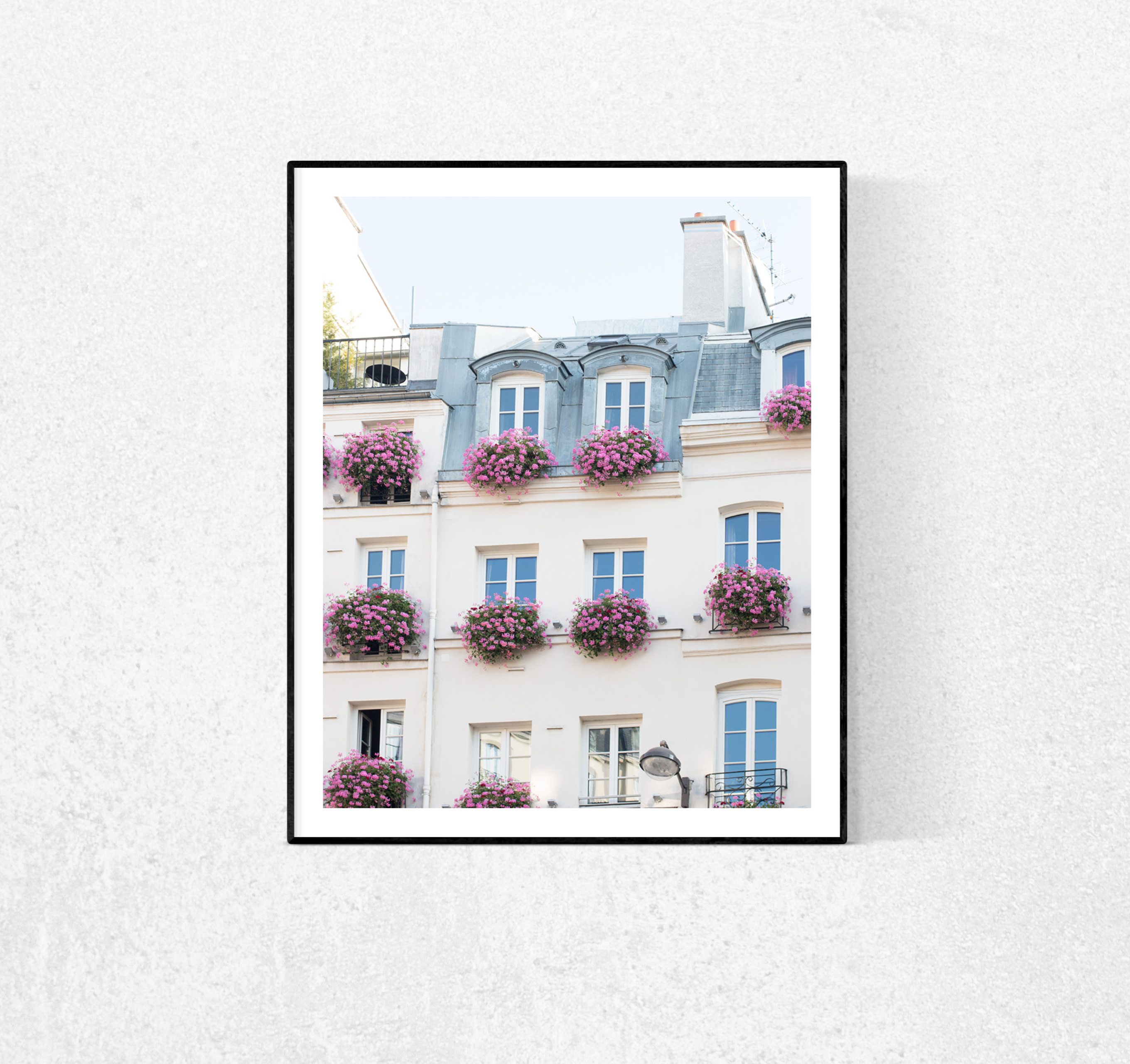 Balcony on St Germain des Prés - Every Day Paris 