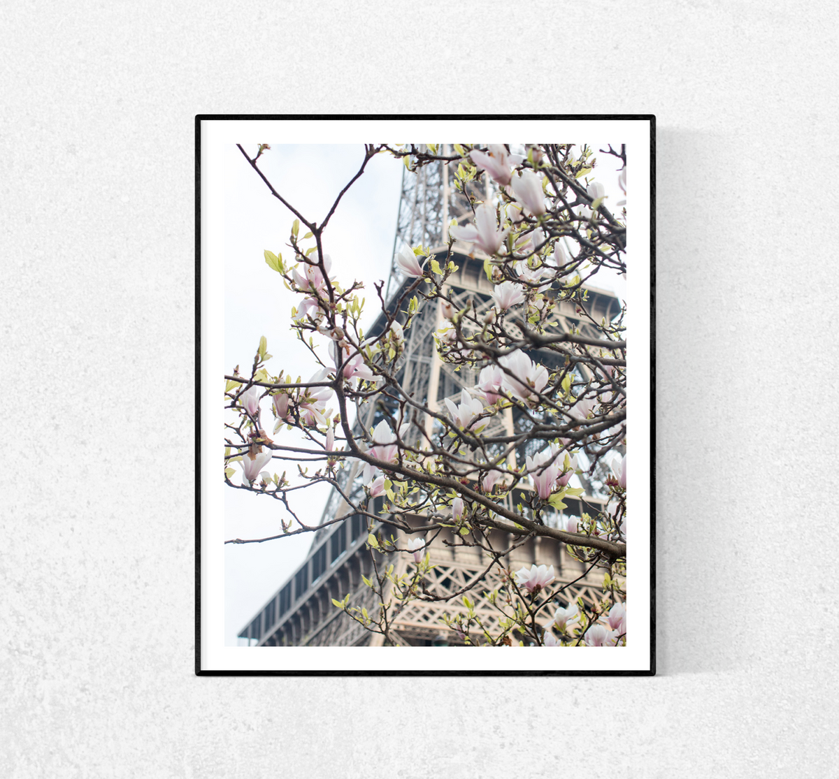 Spring Eiffel Tower in Bloom with Magnolias - Every Day Paris 
