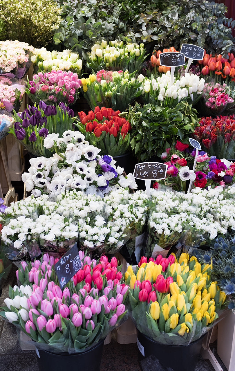 Rue Cler Flower Shop Display - Every Day Paris 