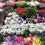Rue Cler Flower Shop Display - Every Day Paris 