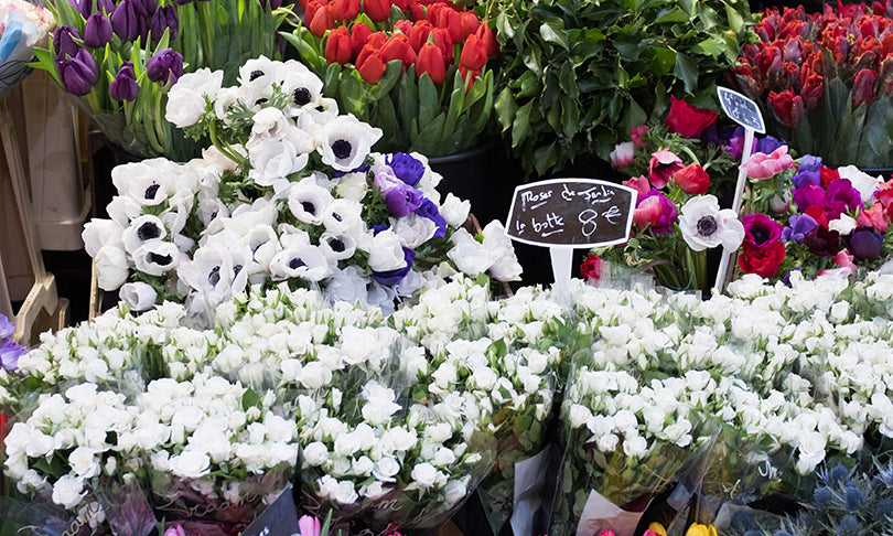 Rue Cler Flower Shop Display - Every Day Paris 