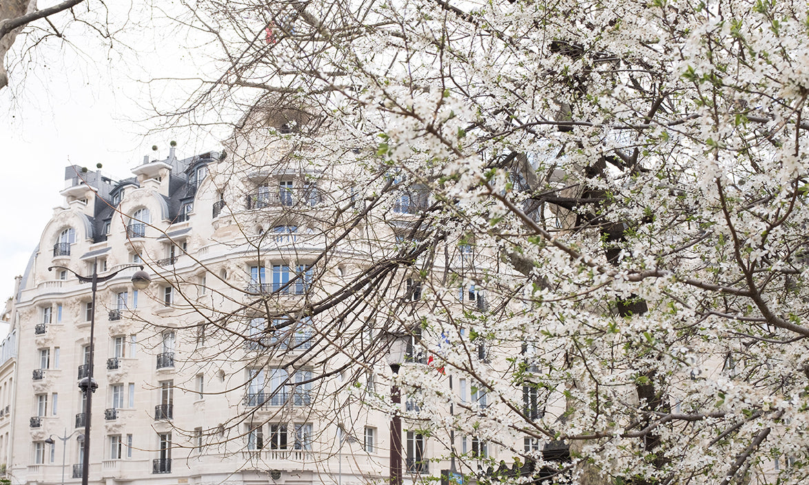 Hotel Lutetia Blossom Season in Paris - Every Day Paris 