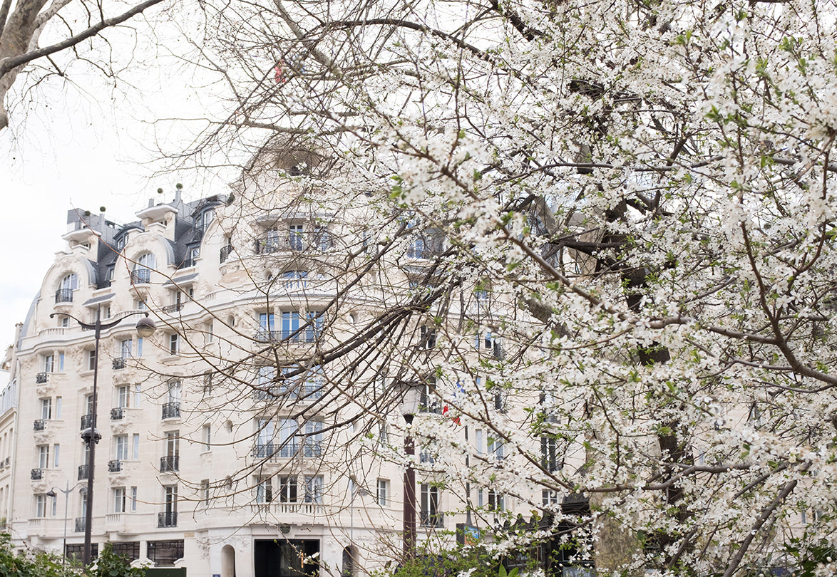 Hotel Lutetia Blossom Season in Paris - Every Day Paris 