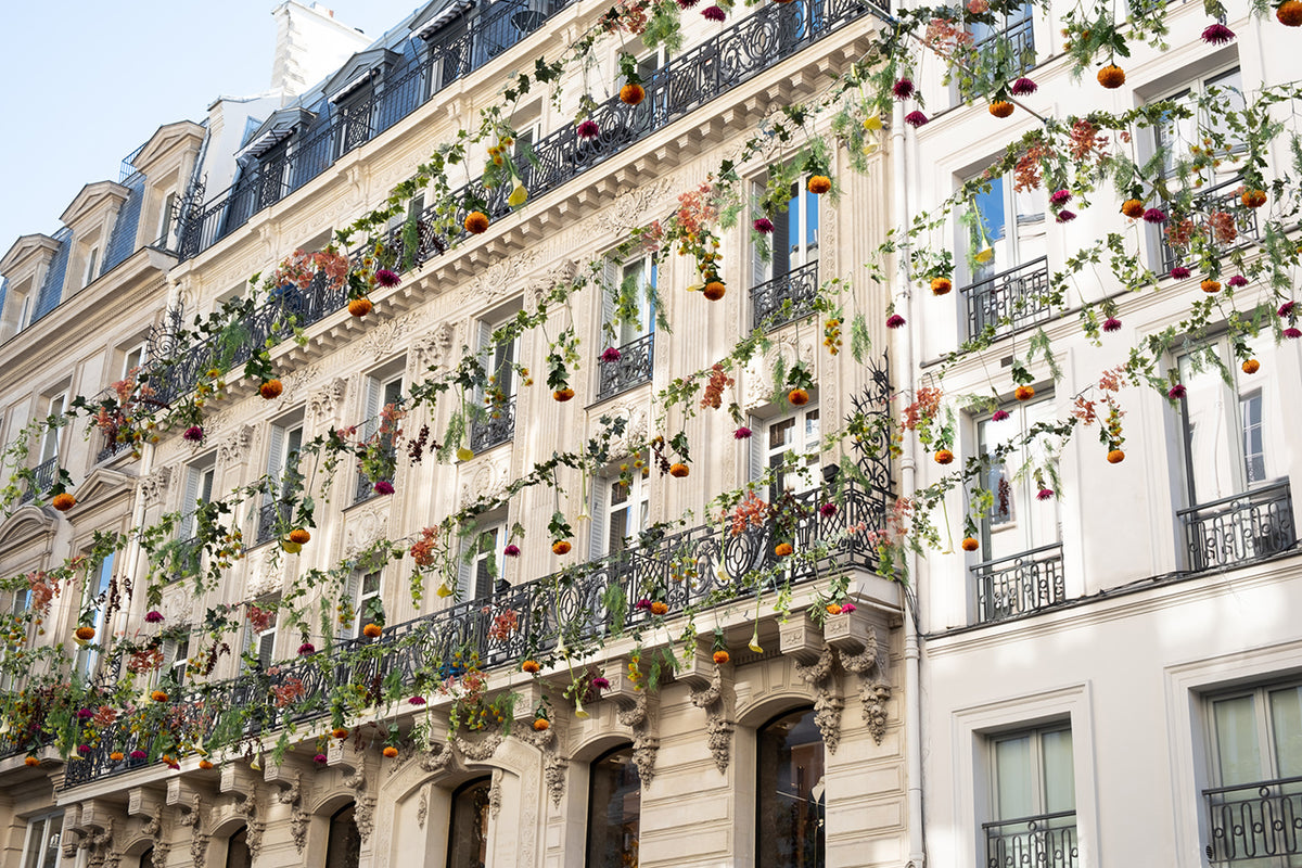 Flowers Down Rue Saint Honoré