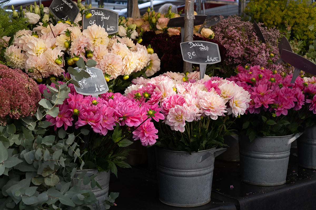 Dahlias at the Bastille Flower Stand
