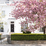 April in London - Every Day Paris 