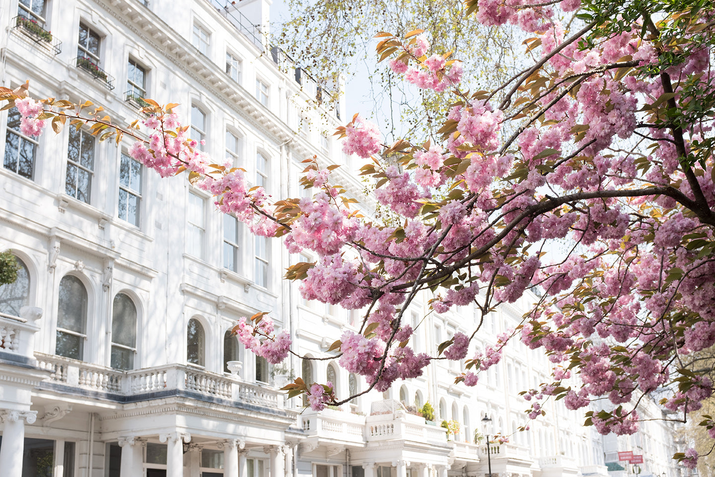 Spring in London - Everyday Parisian