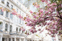 A Spring Weekend in London