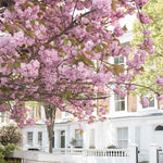 Spring London in Bloom - Every Day Paris 