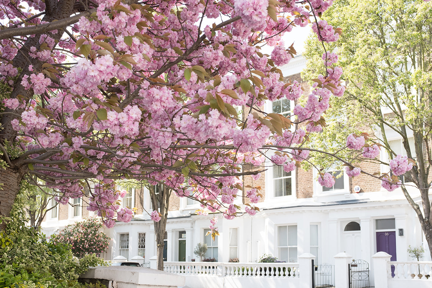 Spring London in Bloom - Every Day Paris 