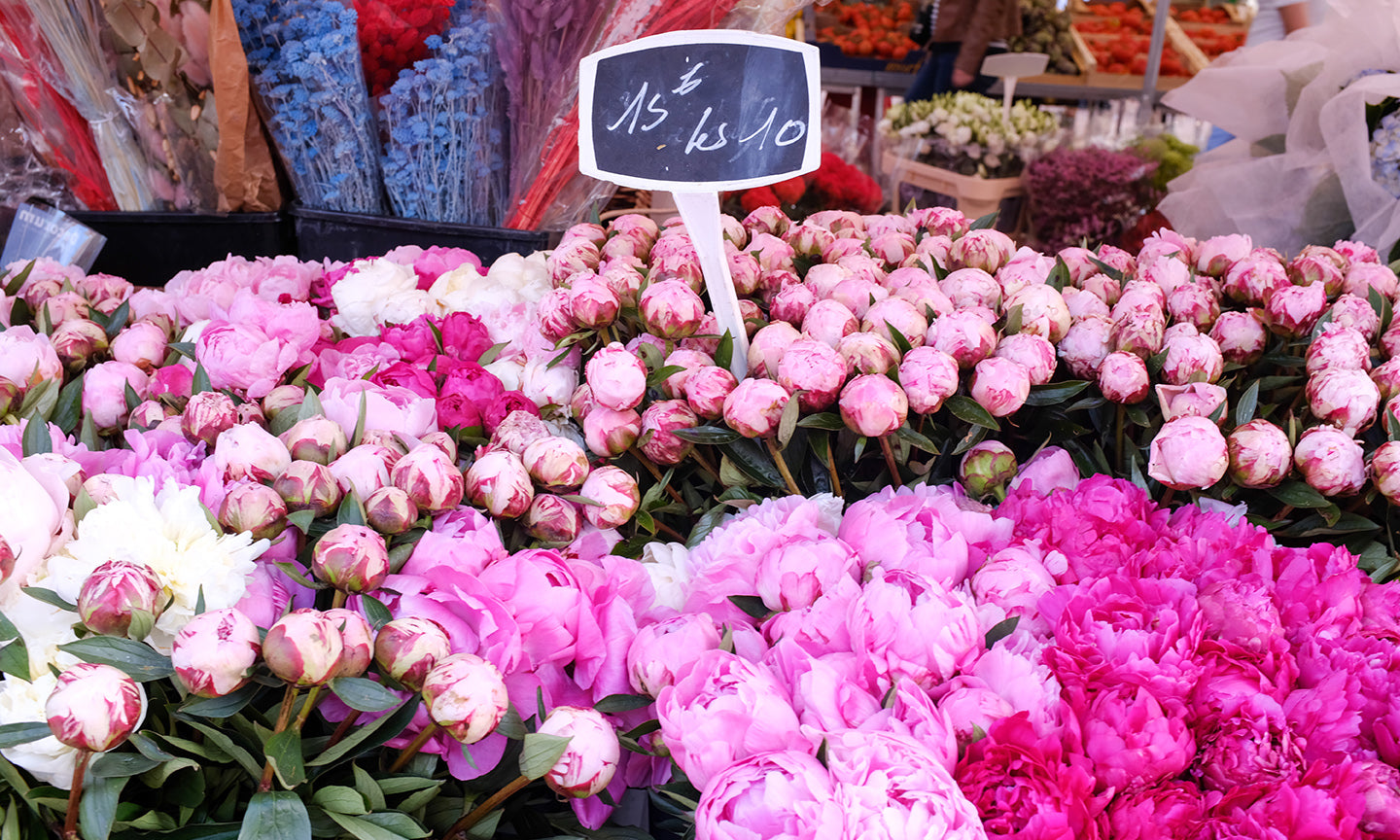 Pink Peonies for Sale in Nice France - Every Day Paris 