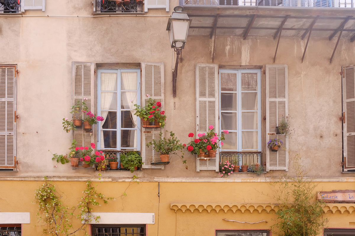 Window Boxes in Old Nice France - Every Day Paris 