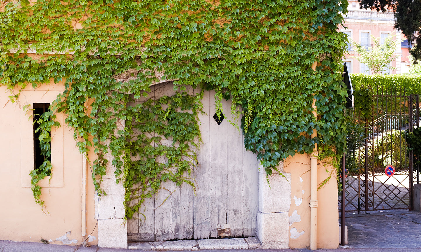 Summer in Grasse France #6 - Every Day Paris 