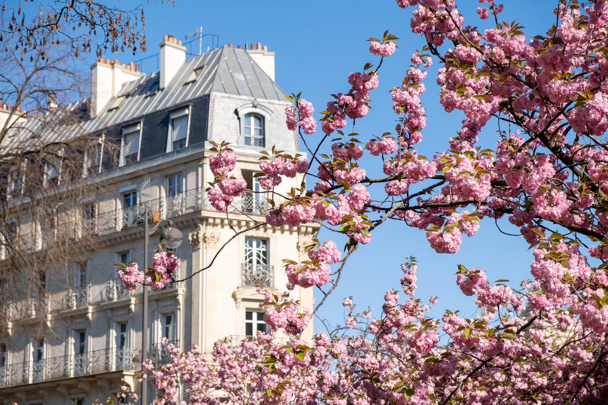 Spring Weekend in Paris