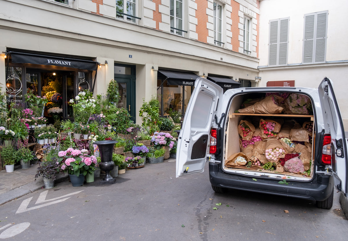 Summer Flower Shop in Paris