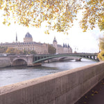 Fall Light on The Seine - Every Day Paris 