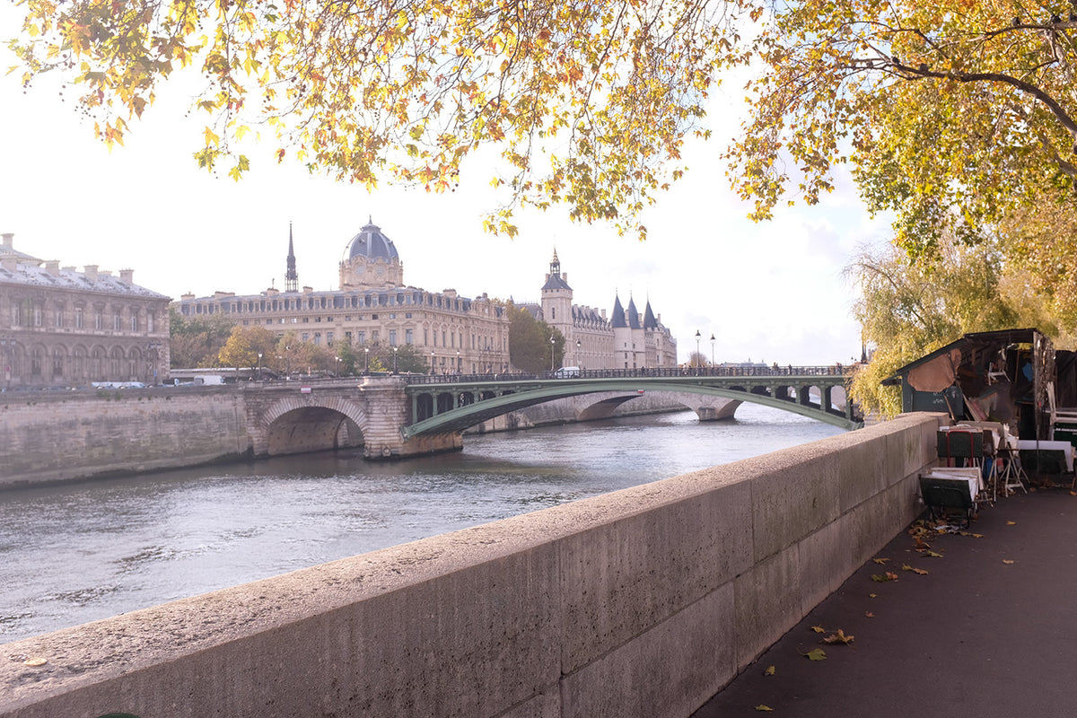Fall Light on The Seine - Every Day Paris 