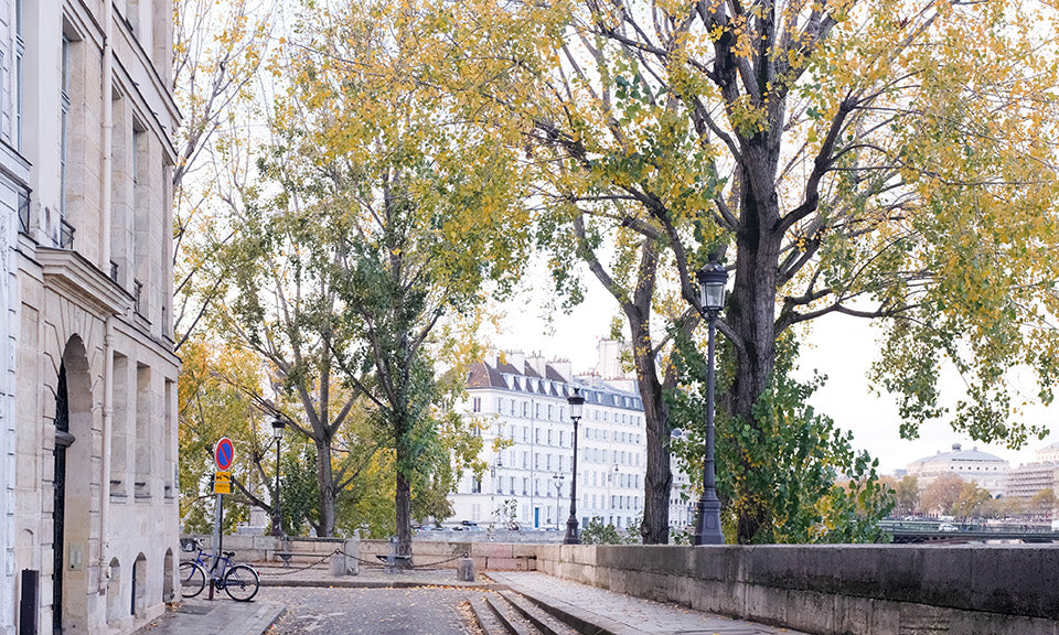 Fall on Ile St Louis - Every Day Paris 
