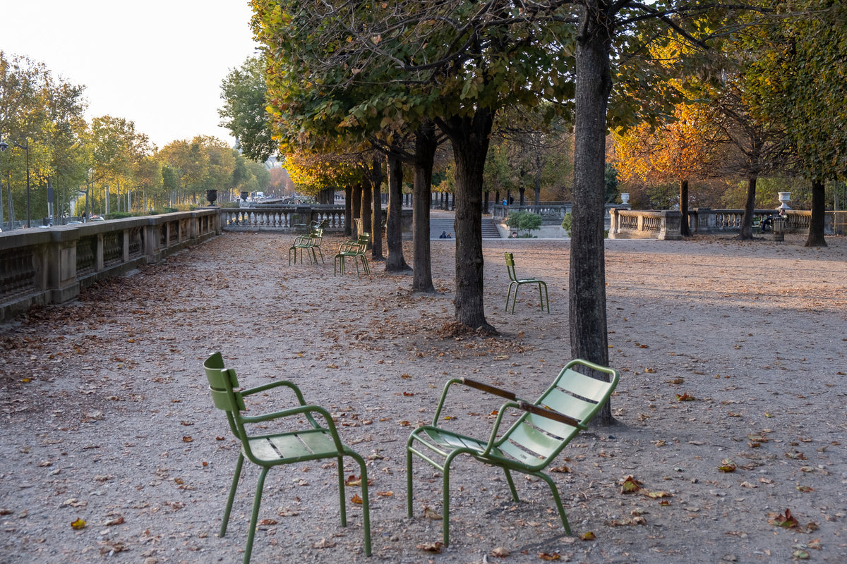 Autumn in the Tuileries