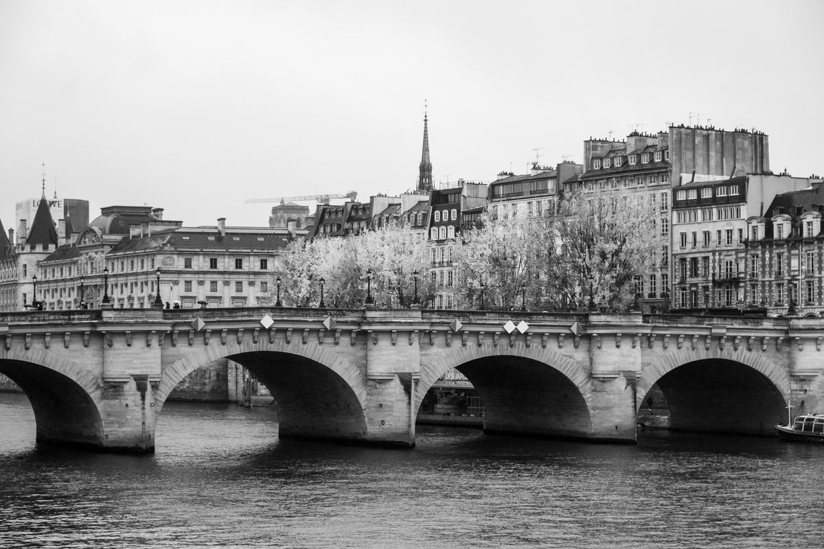 Rainy Morning on The Seine in Black and White