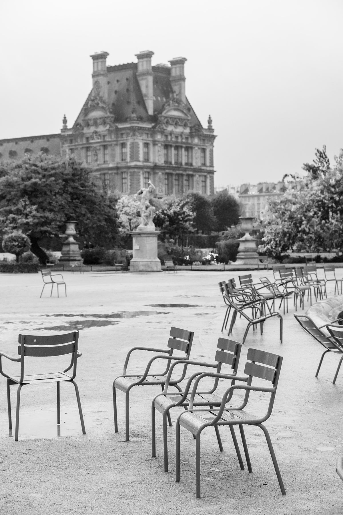 Tuileries in the Rain Black and White