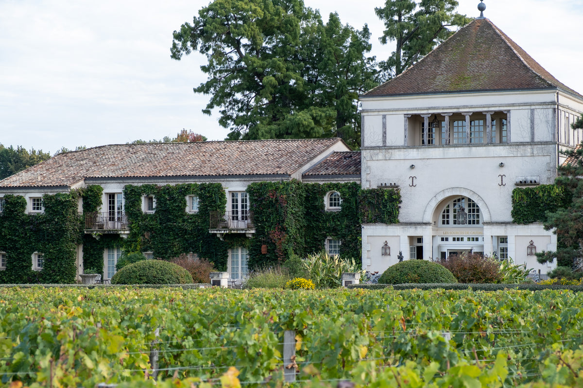 Fall Vineyards in Bordeaux