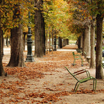 Fall in the Tuileries - Every Day Paris 