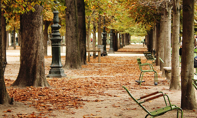 Fall in the Tuileries - Every Day Paris 