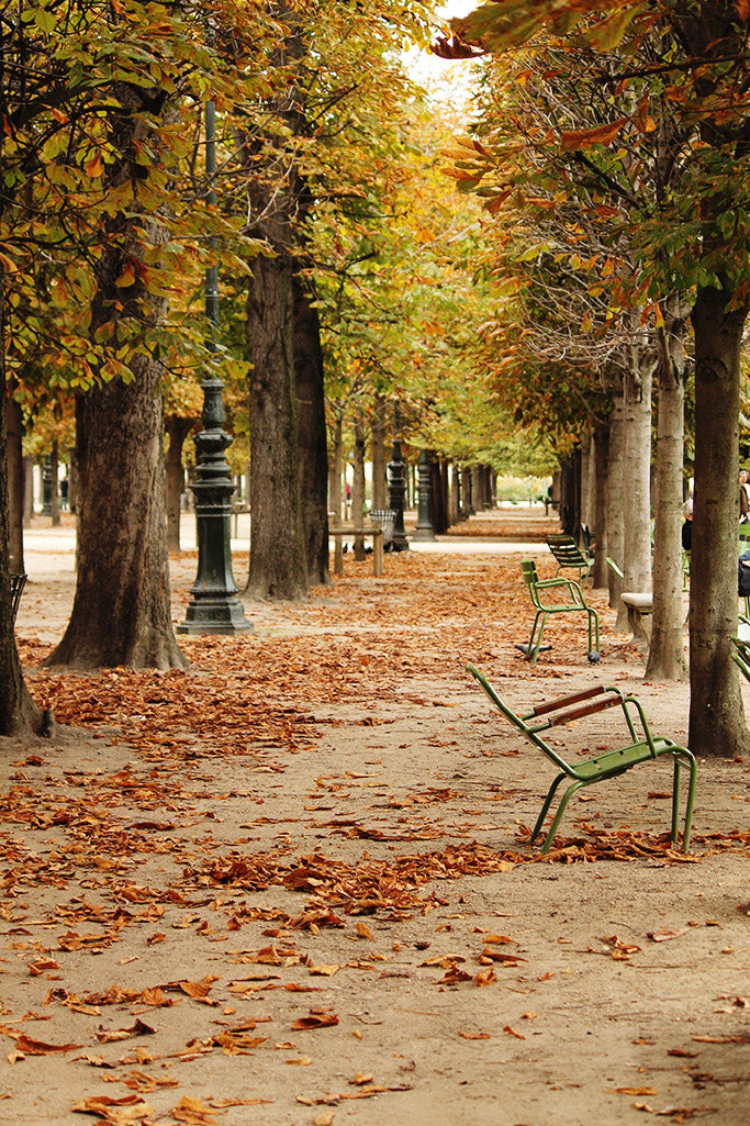Fall in the Tuileries - Every Day Paris 