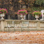 Luxembourg Gardens Fall Leaves - Every Day Paris 