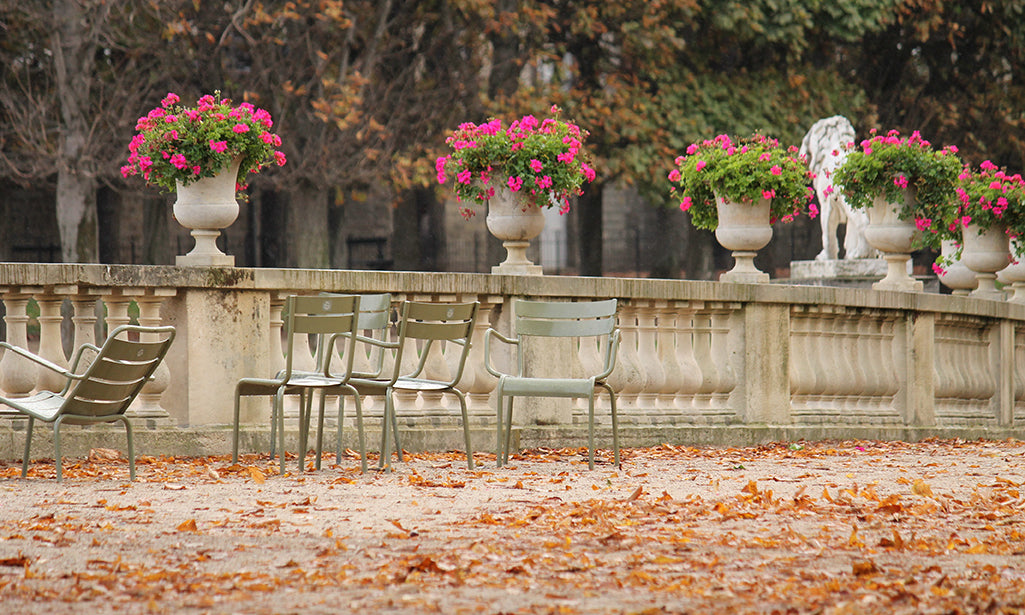 Luxembourg Gardens Fall Leaves - Every Day Paris 