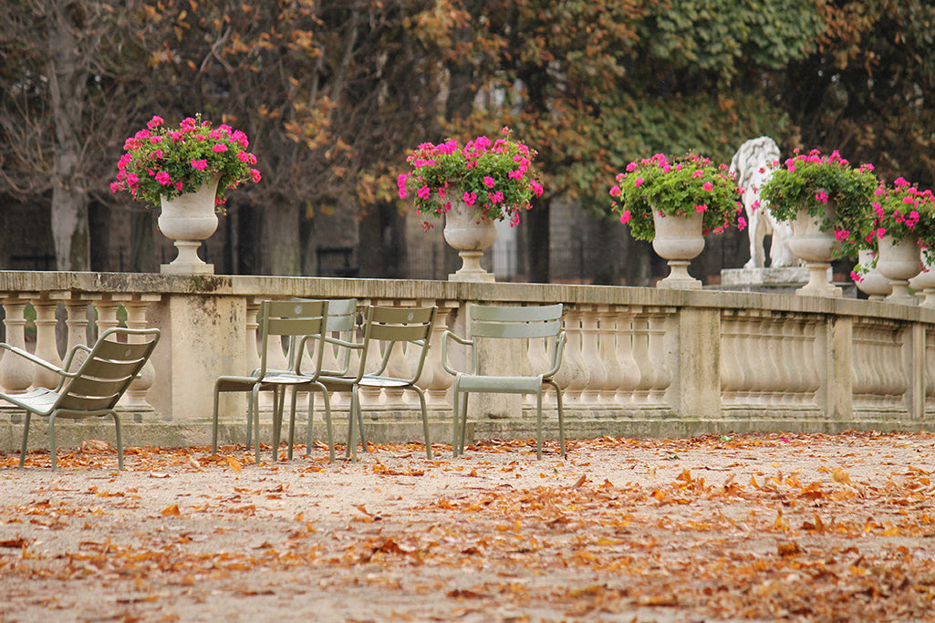 Luxembourg Gardens Fall Leaves - Every Day Paris 