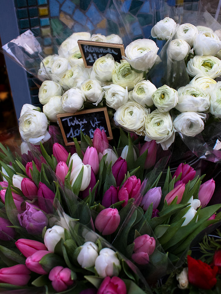 Spring Tulips for Sale in Paris