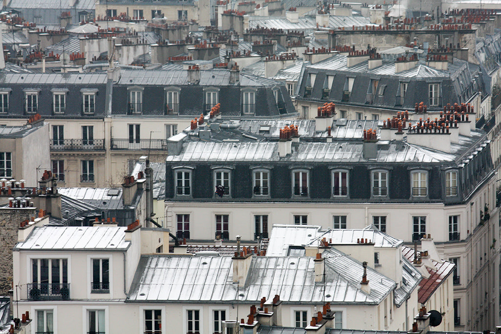 Parisian Rooftops Covered in Snow