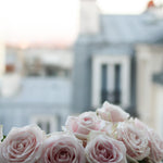 Paris Print Set of 3 in Pink - Every Day Paris 