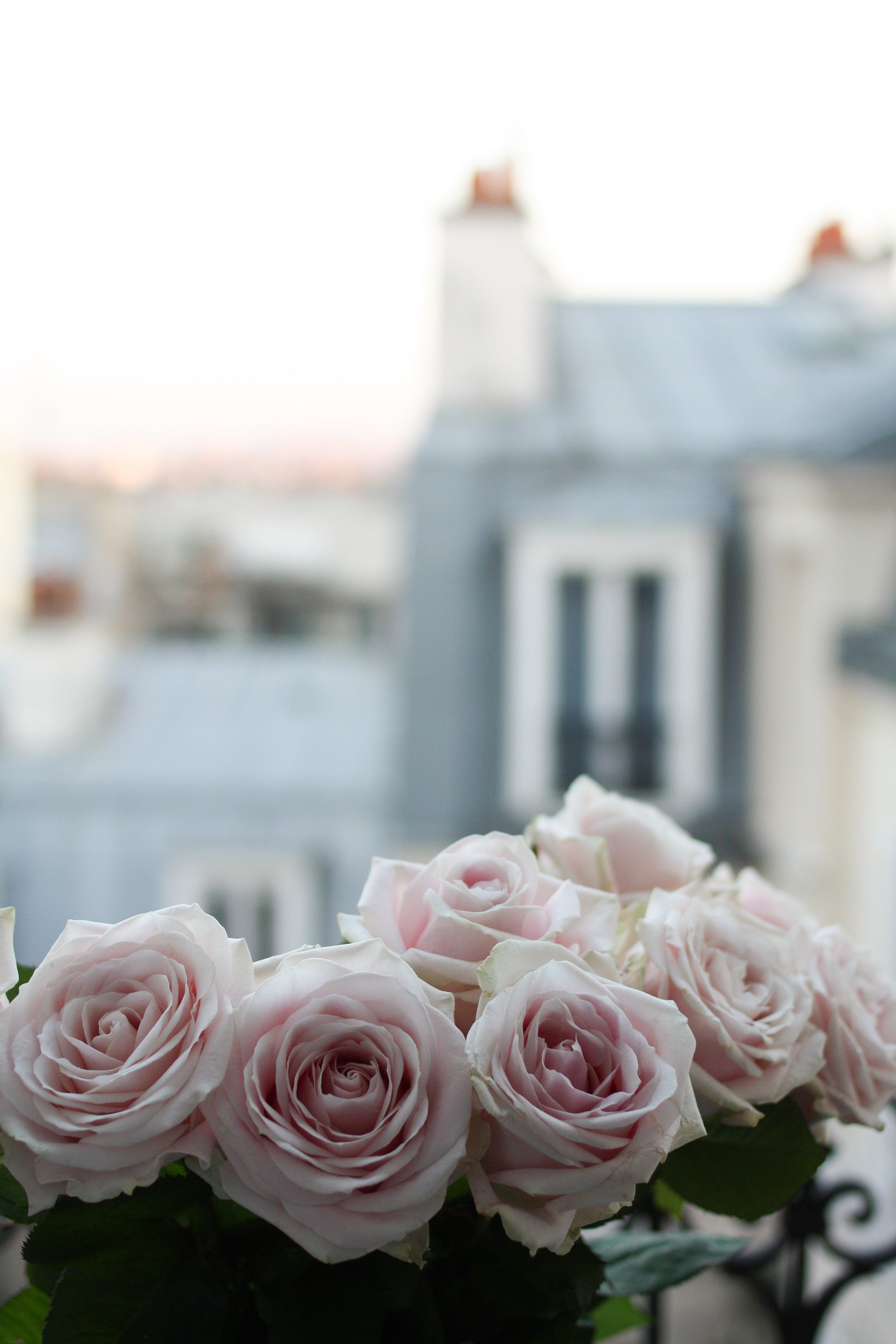 Paris Print Set of 3 in Pink - Every Day Paris 