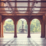 Early Morning in Central Park - Every Day Paris 