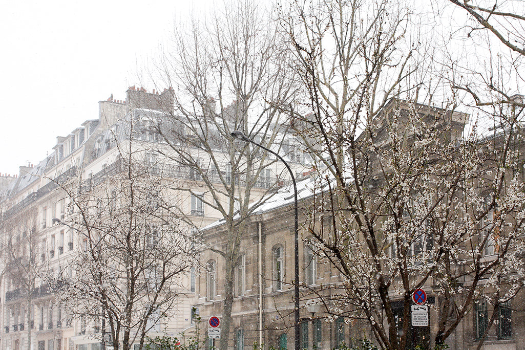 Paris Under the Snow - Every Day Paris 