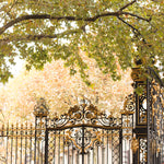 Fall in Parc Monceau - Every Day Paris 