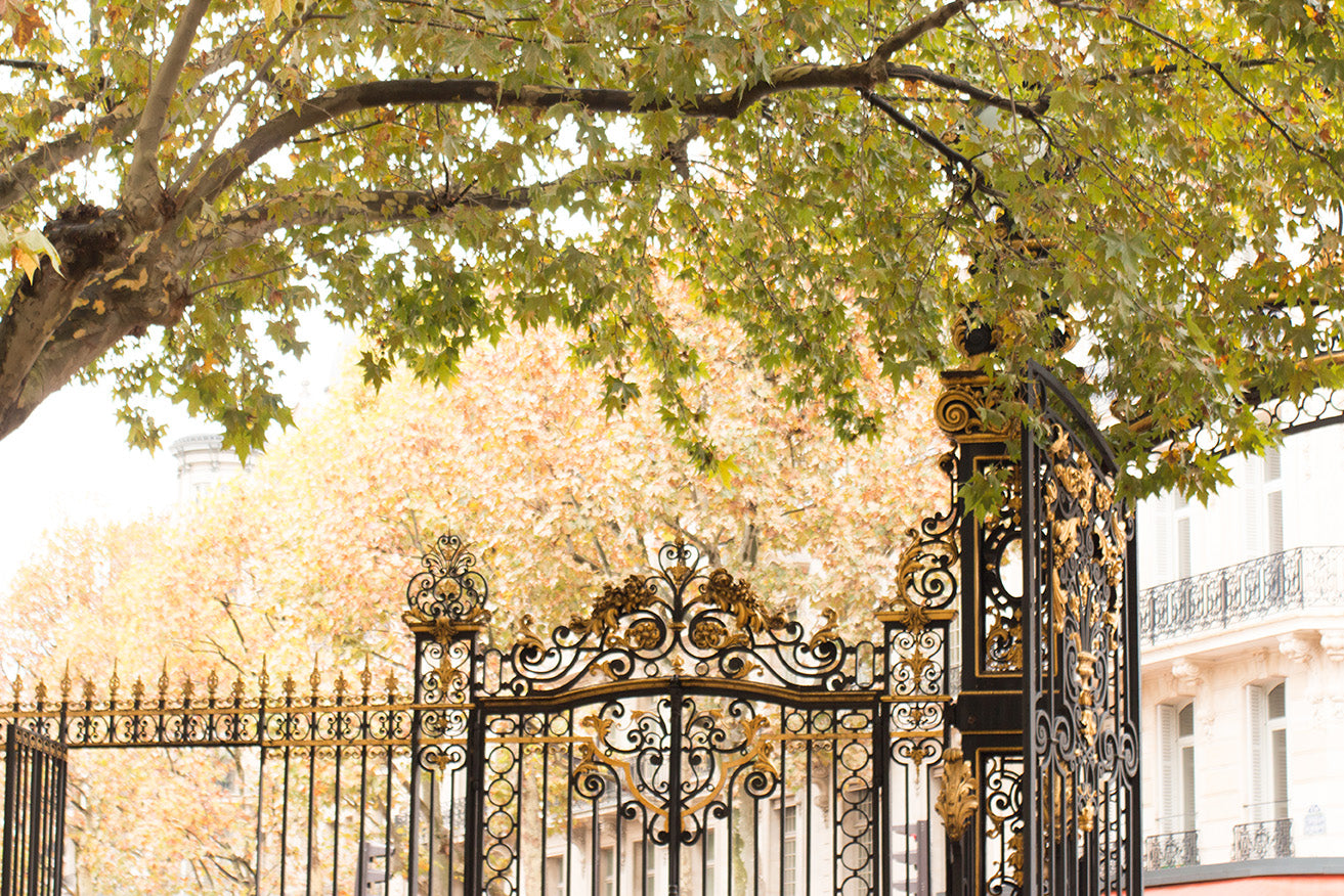 Fall in Parc Monceau - Every Day Paris 