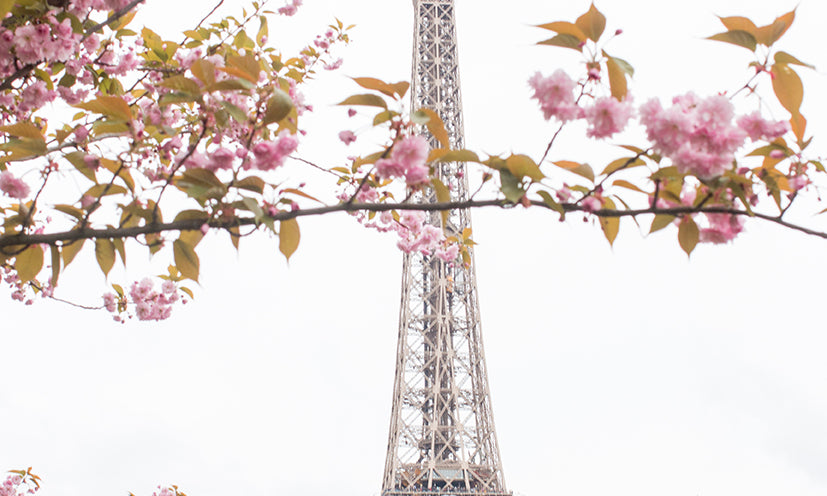 Spring Cherry Blossoms at The Eiffel Tower - Every Day Paris 