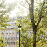 Last Light of Summer - Every Day Paris 