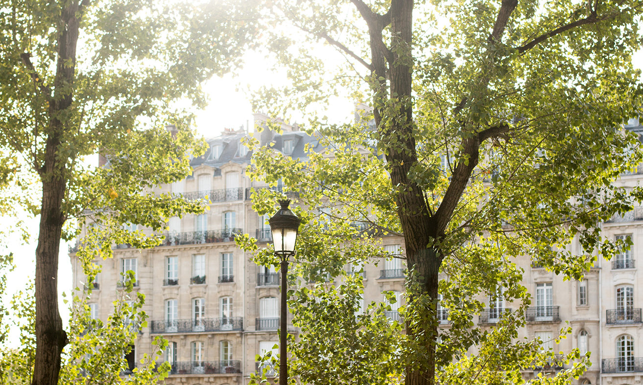 Last Light of Summer - Every Day Paris 