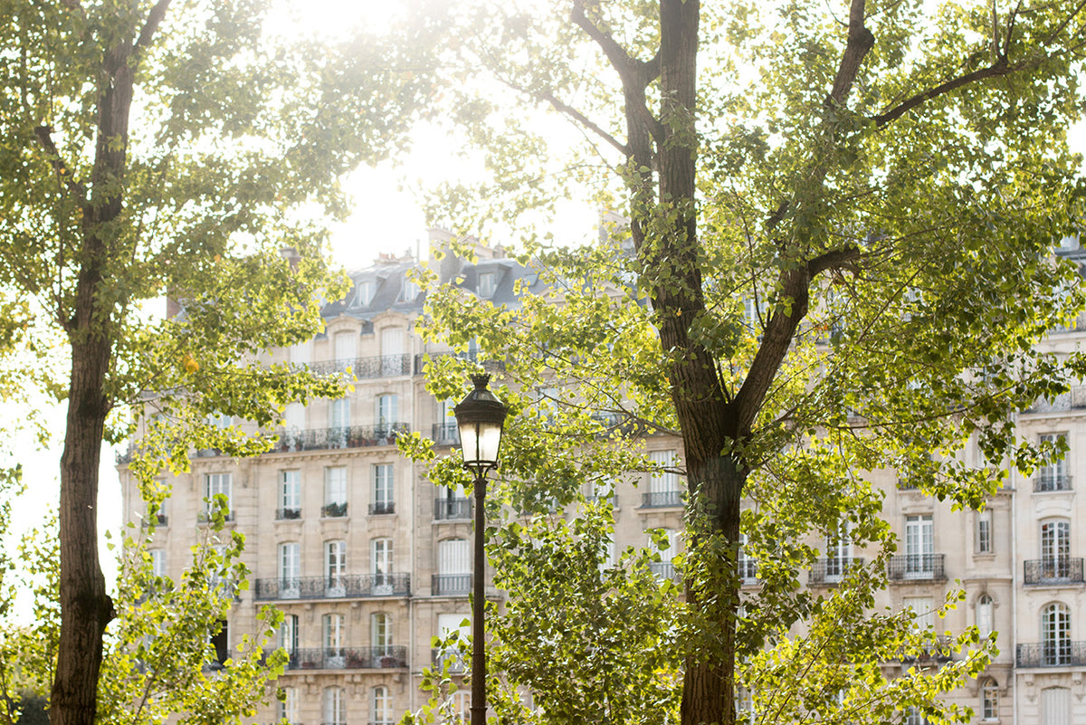 Autumn Light on the Seine