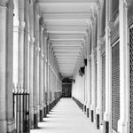 The Arcade of Palais Royal - Every Day Paris 