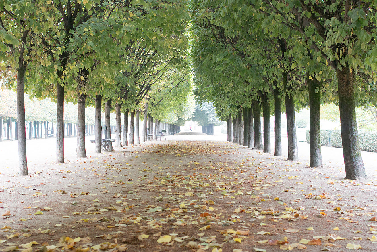 Fall in Palais Royal - Every Day Paris 