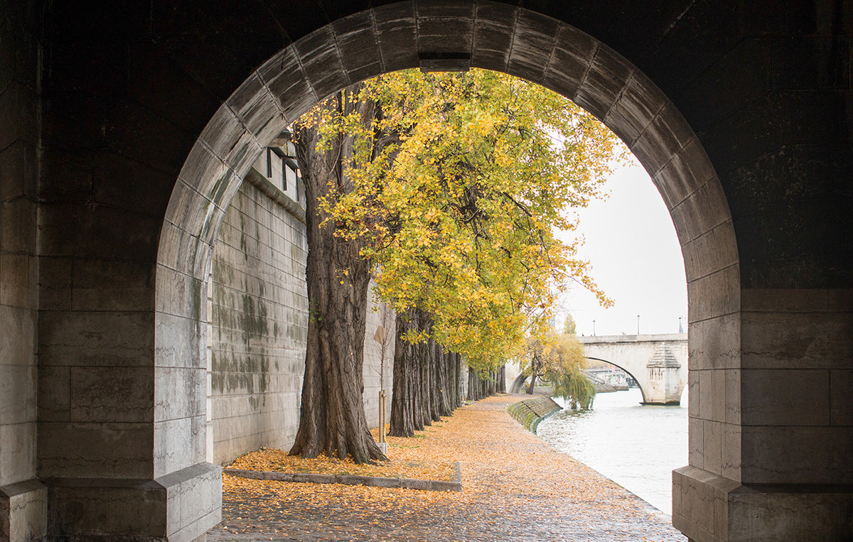 Autumn Stroll on The Seine - Every Day Paris 