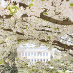 Spring in Jardin des Plantes - Every Day Paris 