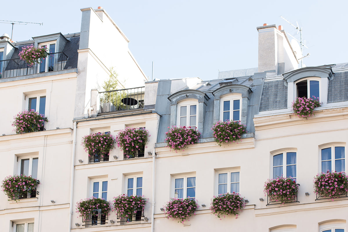 Spring Floral Balcony on St Germain de Près - Every Day Paris 